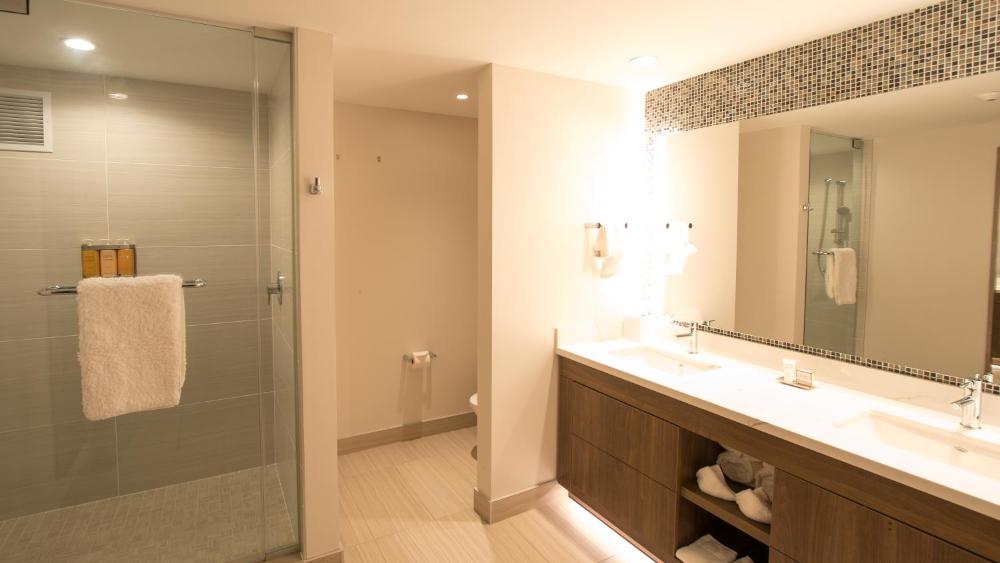 Deluxe King Room interior